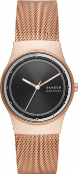 Наручные часы Skagen SALE40 SKW3023