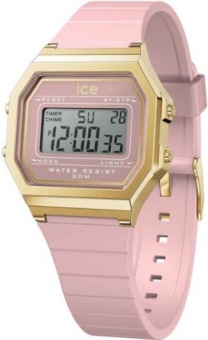 Наручные часы Ice Watch 022056