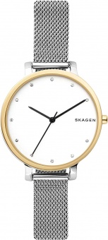 Наручные часы Skagen SALE60 SKW2661