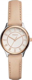 Наручные часы Fossil  BQ1576