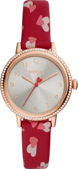Наручные часы Fossil  SALE50 BQ3698
