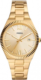 Наручные часы Fossil  SALE40 ES5299