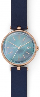 Наручные часы Skagen SALE40 SKW2981